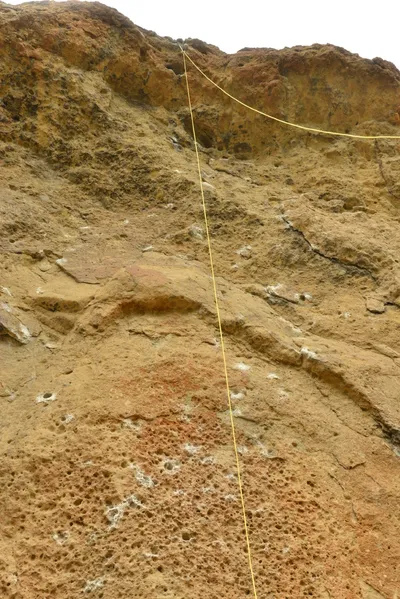 DSC_6319 (Large).JPG